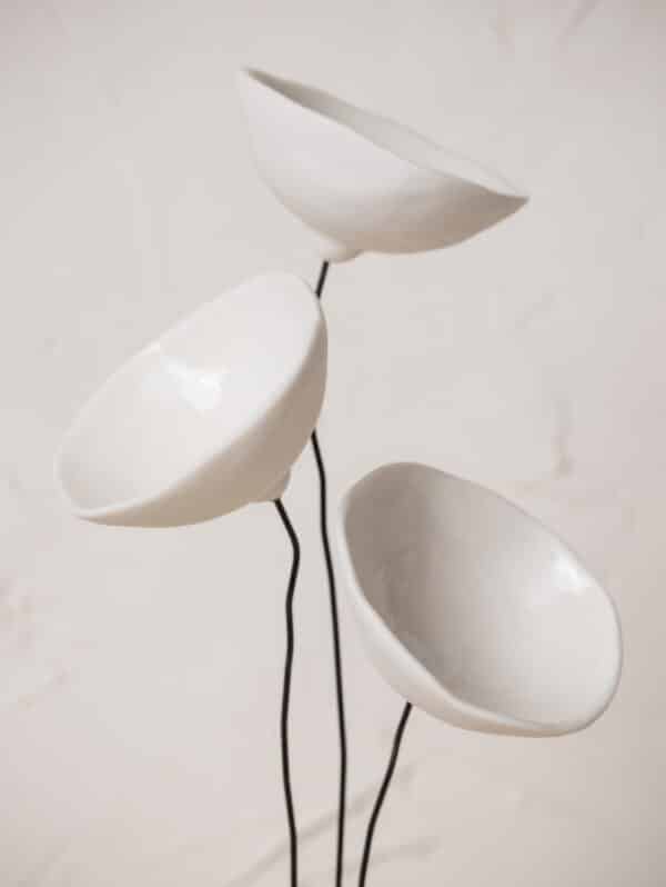 Flowers blanches – Image 5